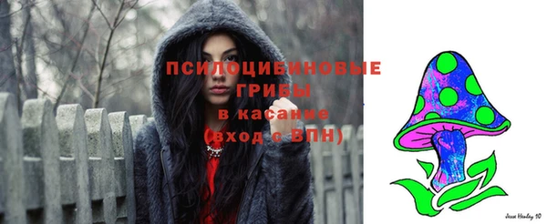 стаф Армянск