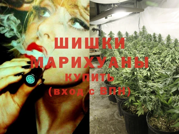 ГАЛЛЮЦИНОГЕННЫЕ ГРИБЫ Сосновоборск