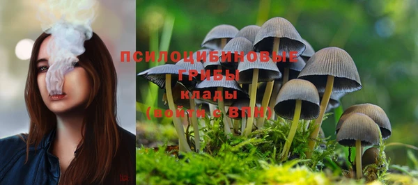 стаф Армянск