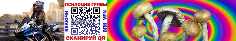 Галлюциногенные грибы прущие грибы  Урюпинск 