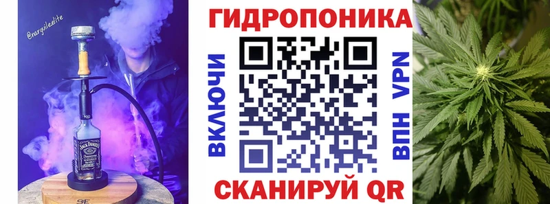 Конопля Bruce Banner  где купить   Урюпинск 